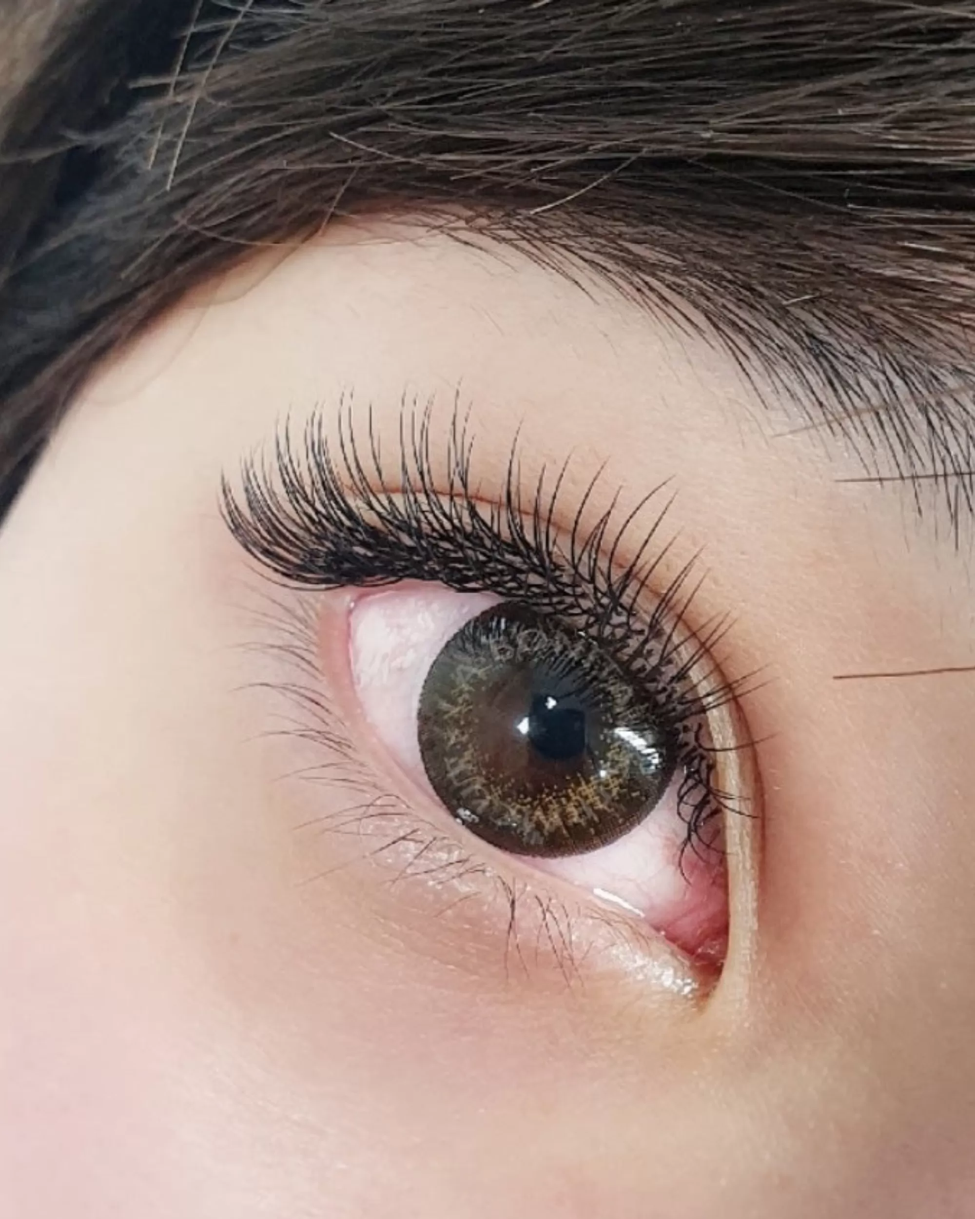 C-Curl Flat Lashes (Mixed Trays)