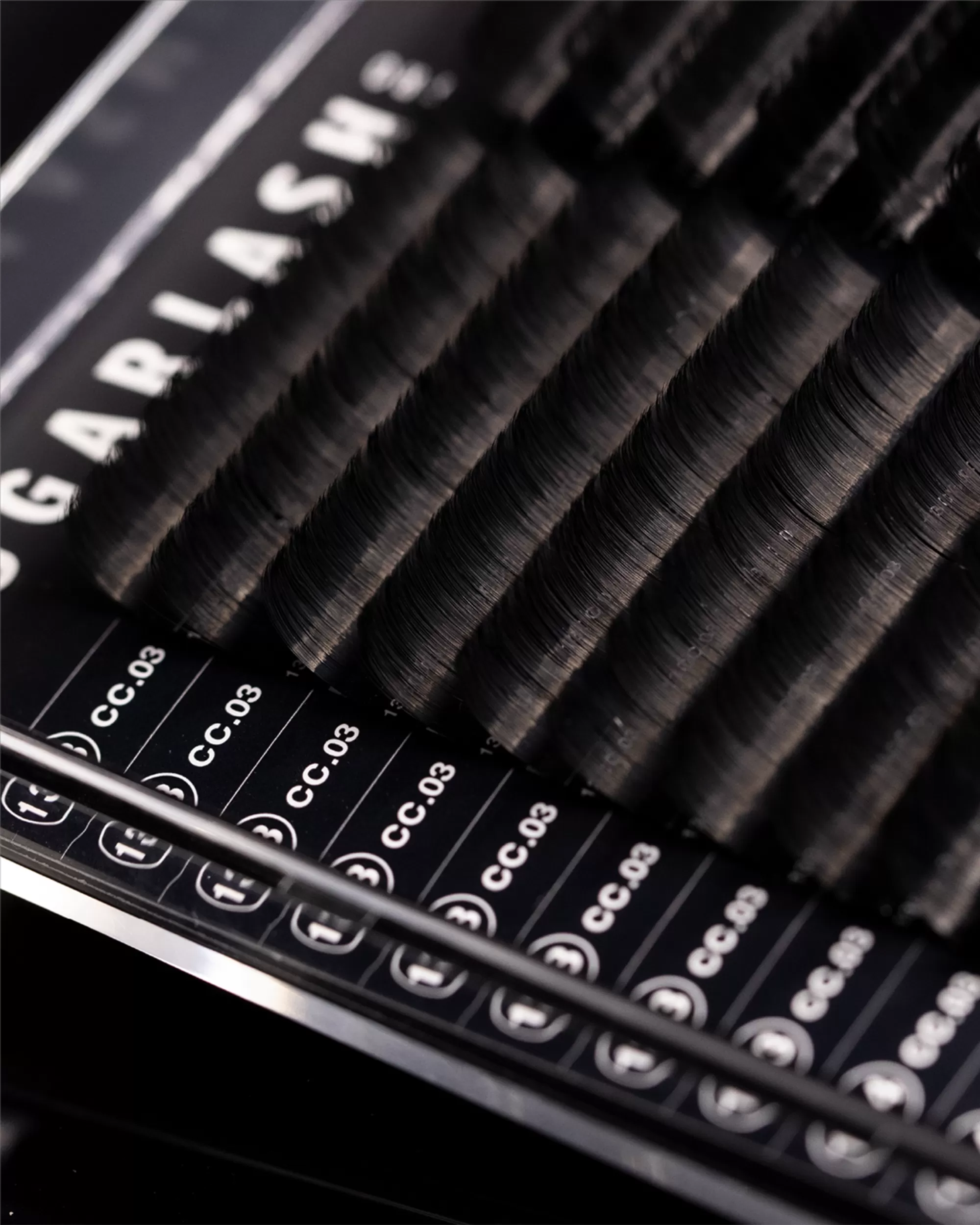 C-Curl Plush Lashes (Multi-Length Trays)