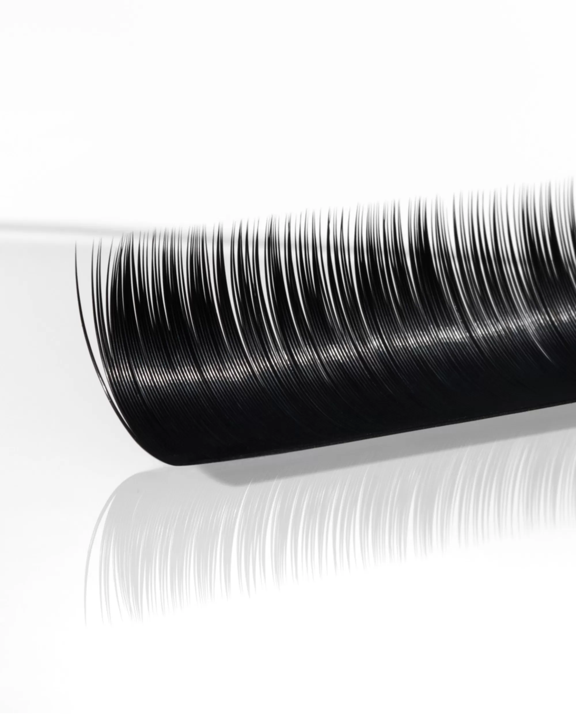 C-Curl Plush Lashes (Multi-Length Trays)