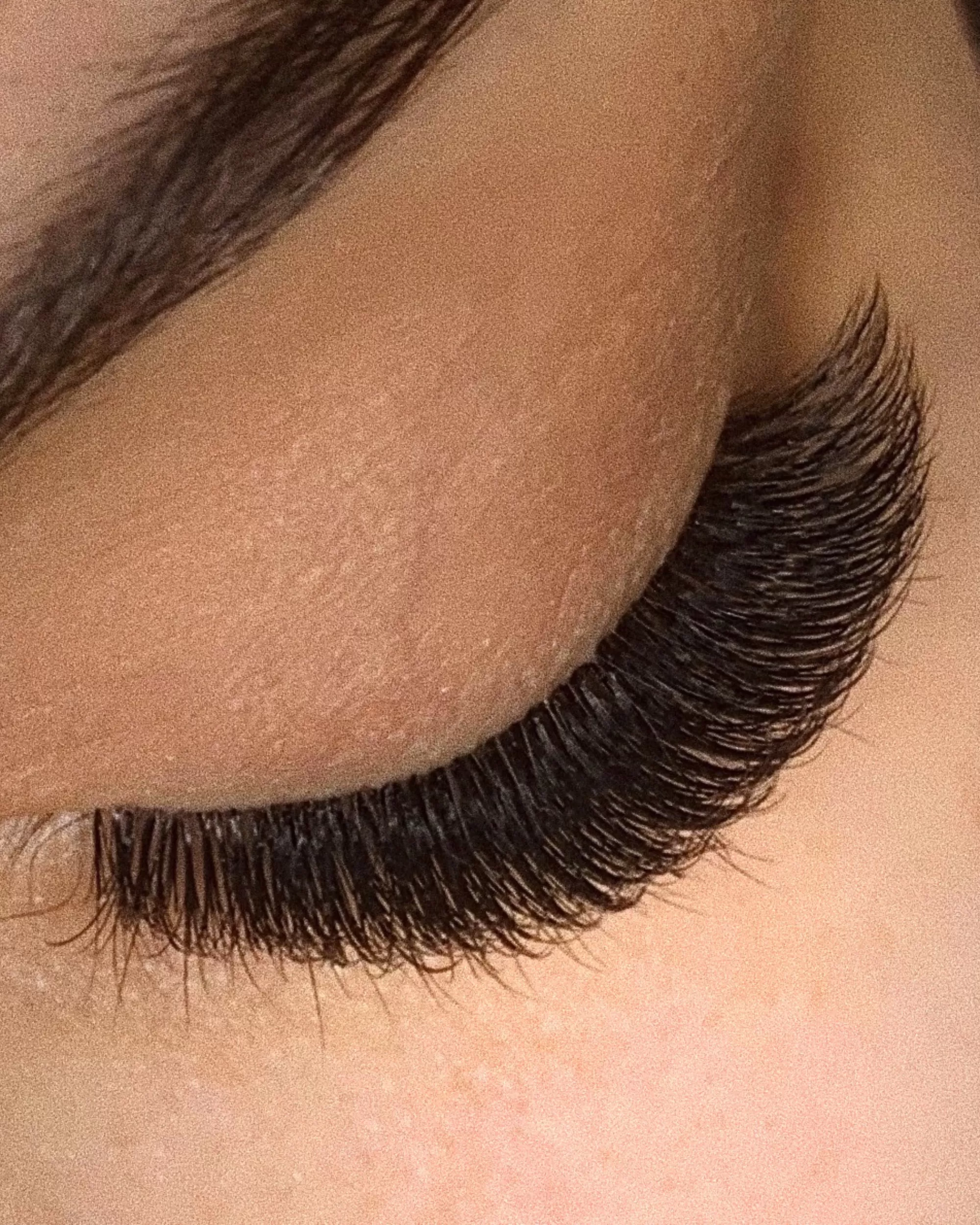 D-Curl Plush Lashes (Single-Length Trays)