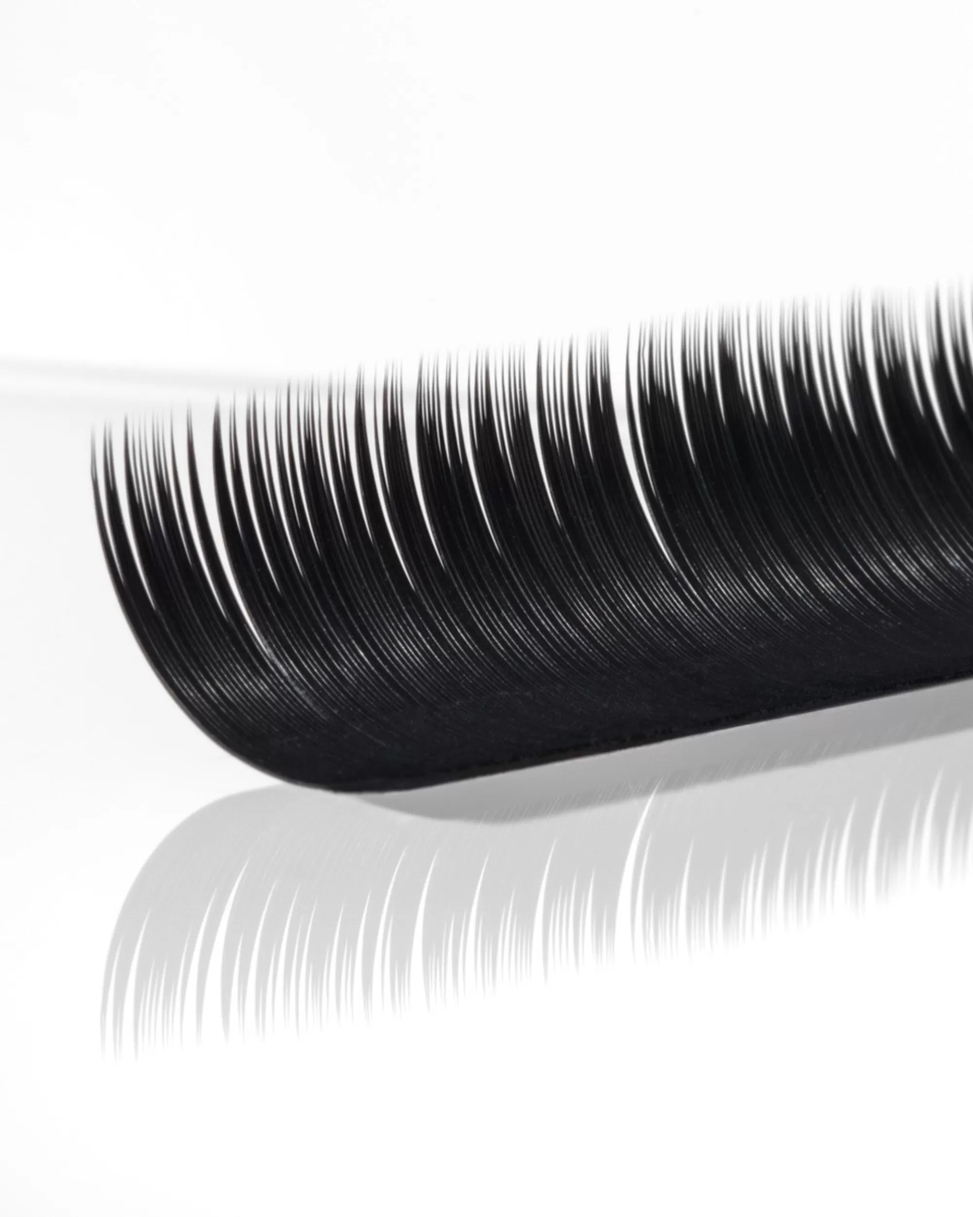 L-Curl Runway Lashes (Mixed Trays)