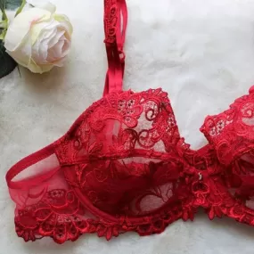 Lise Charmel Dressing Floral Lace Bra in Red ACC3088