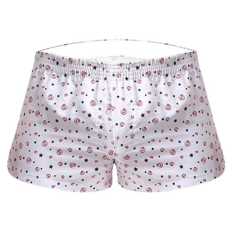 Men Spring Autumn Underwear Boxer Shorts