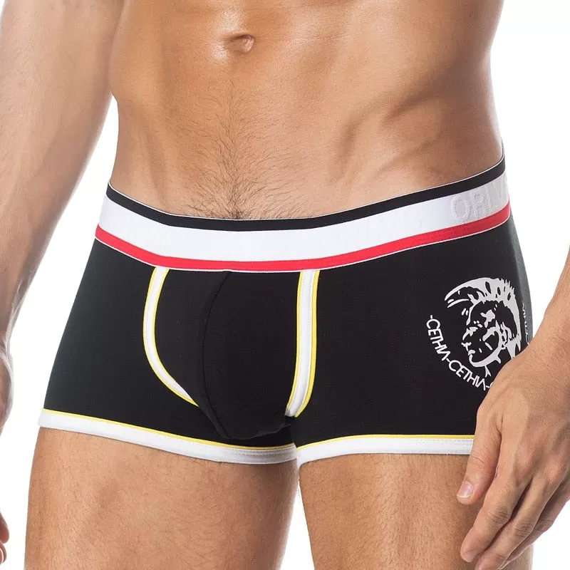 Mens Boxers Cotton Sexy Men Underwear Mens Underpants Panties