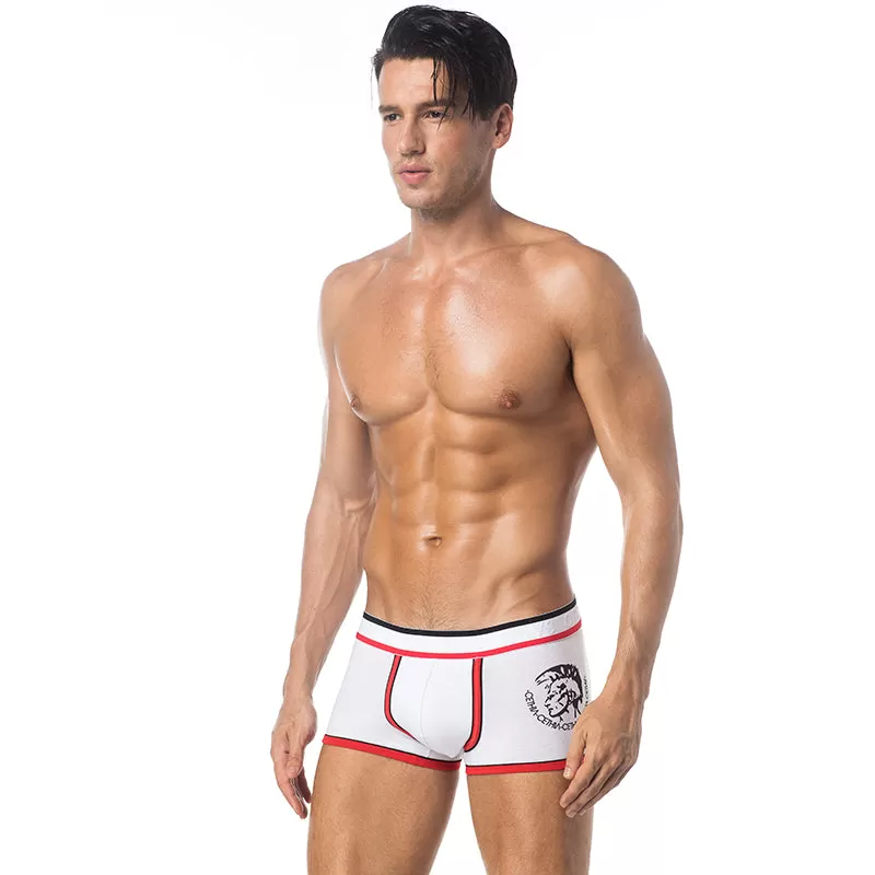 Mens Boxers Cotton Sexy Men Underwear Mens Underpants Panties