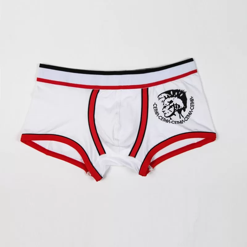 Mens Boxers Cotton Sexy Men Underwear Mens Underpants Panties