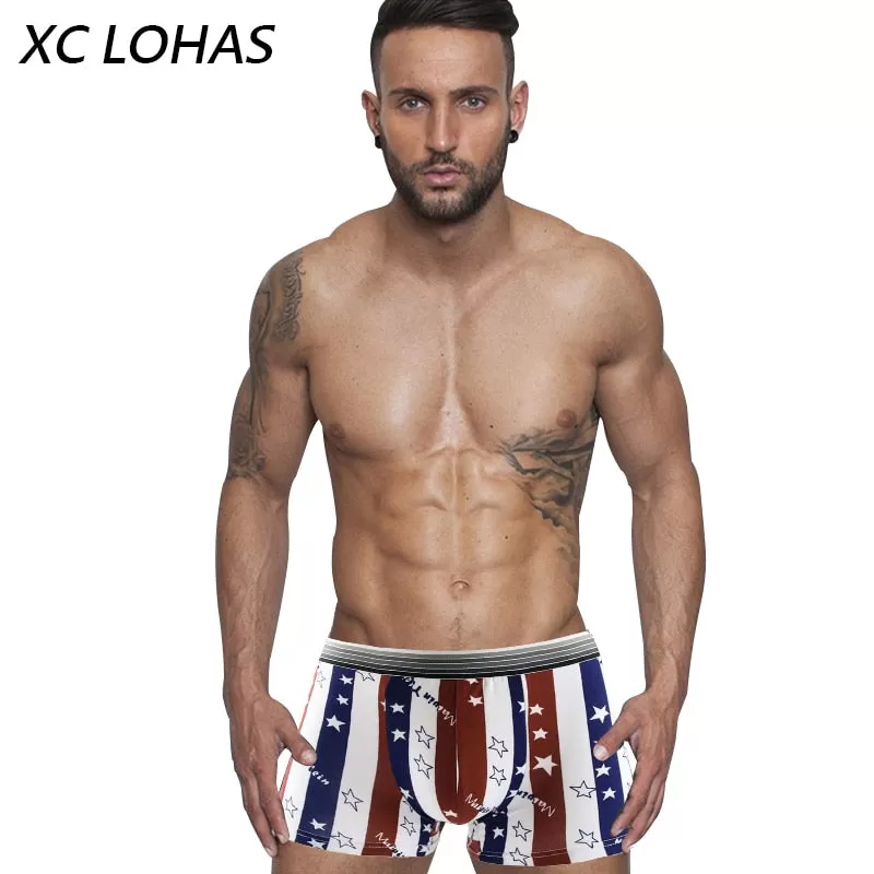 Silk Underwear Men Lovely Cartoon Print Man Boxers Underpants Panties